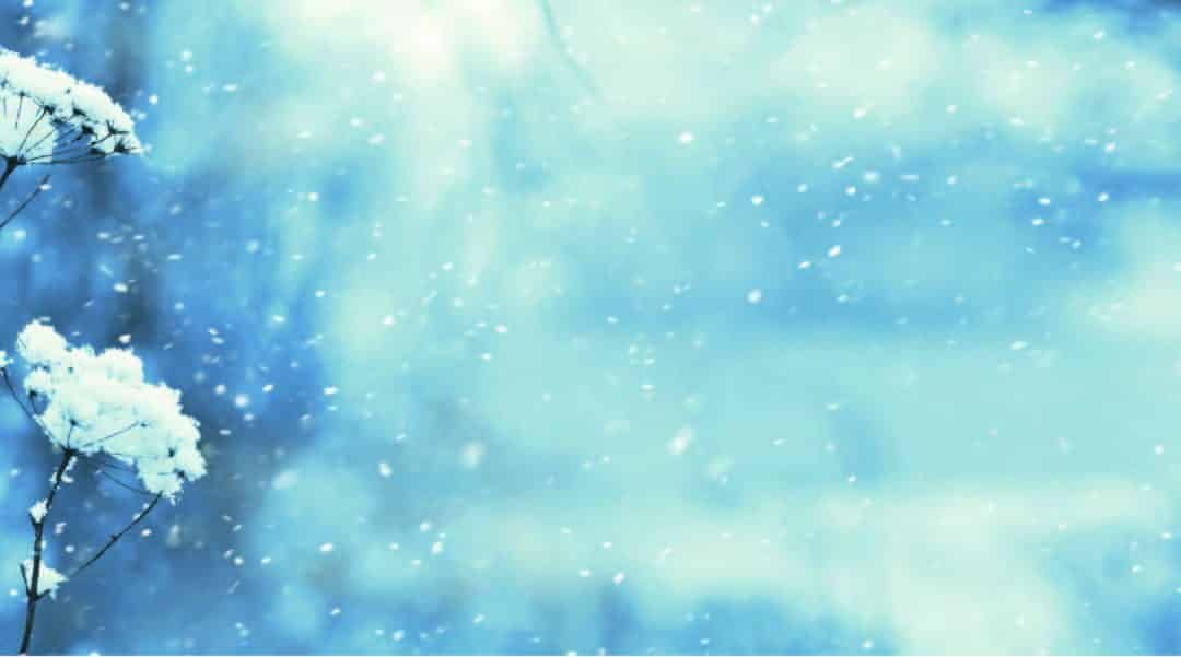 Les différentes technologies de cryolipolyse, avis d&rsquo;experts